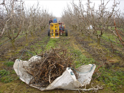 El proyecto europeo AGROinLOG apuesta por los residuos agrícolas para producir combustibles o materias primas