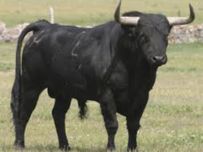 Abandonar carroñas en el campo sin tanta burocracia