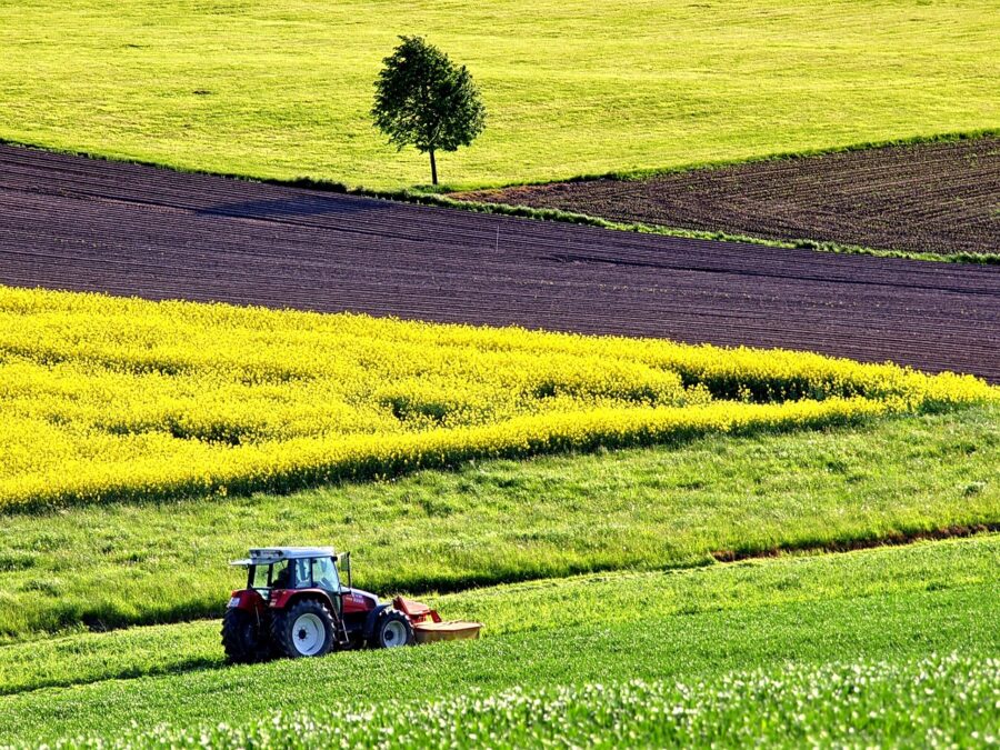 Concesión de ayudas para la intervención de agricultura ecológica en Castilla-La Mancha