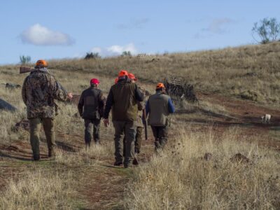 Castilla-La Mancha inicia la temporada hábil de caza mayor y menor
