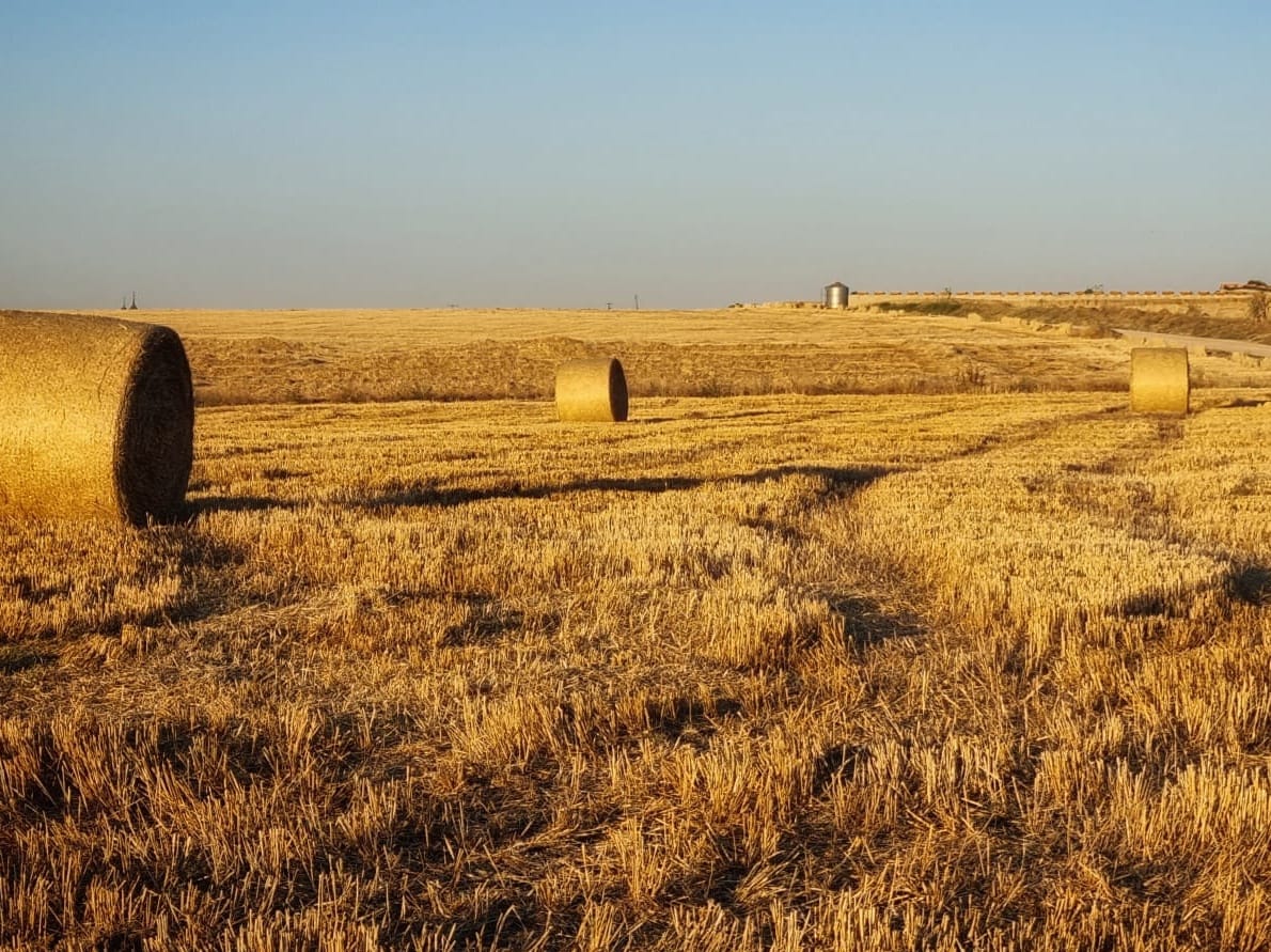 Agricultura comienza a pagar los Ecorregímenes a agricultores y ganaderos de CLM