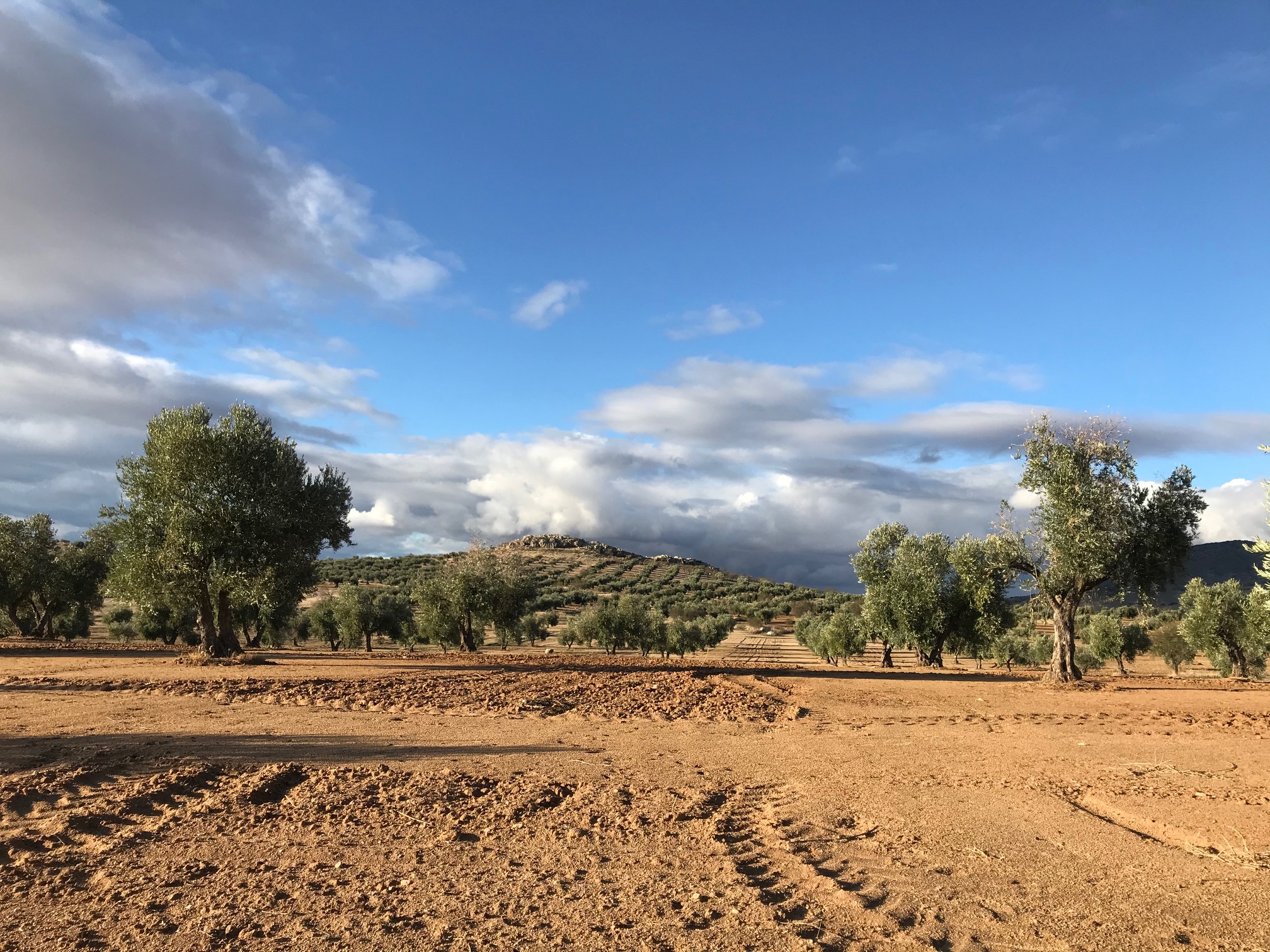 Asaja CLM pide a Agricultura aclaración sobre la obligación de hacer fotografías preventivas