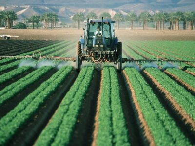 Nuevas explotaciones agrarias reciben ayudas por la subida de los fertilizantes